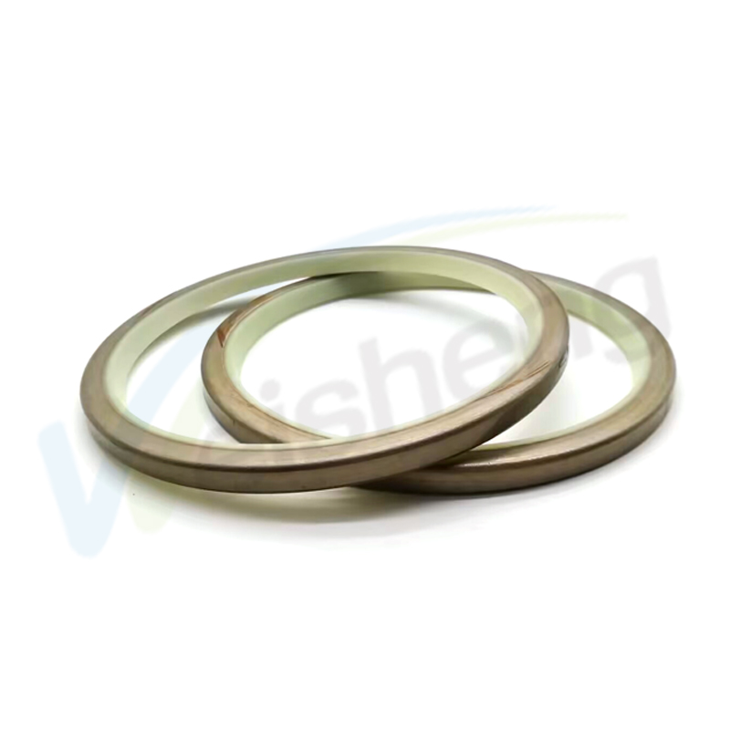 WS-SEALS High Quality Oilseal Ring Stainless Steel PTFE Lip Oil Seal for Compressor WS-SEALS PU Hydraulic Cylinder Wiper Seal DLI Dust Seals 